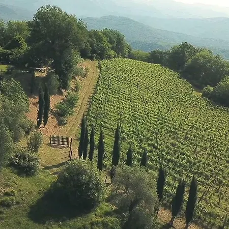 Agriturismo Ca Del Bosco Фермерский дом Мулаццо